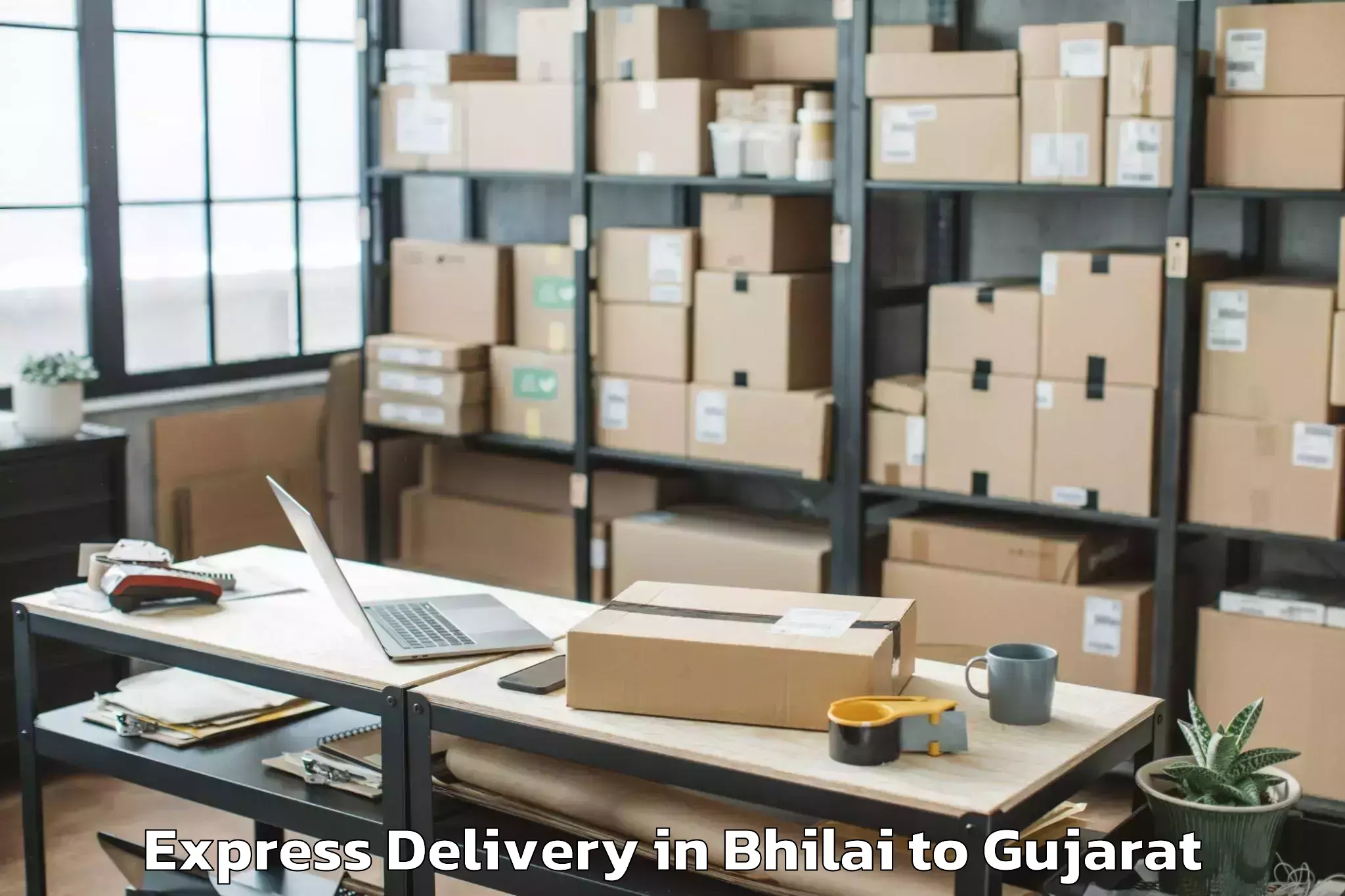 Bhilai to Saurashtra University Rajkot Express Delivery